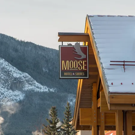 Moose Hotel And Suites-2